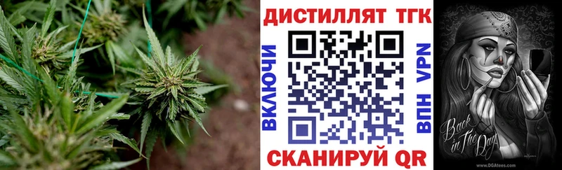 ТГК вейп с тгк  маркетплейс клад  Называевск 