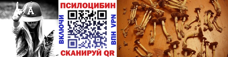 Псилоцибиновые грибы Magic Shrooms  Называевск 